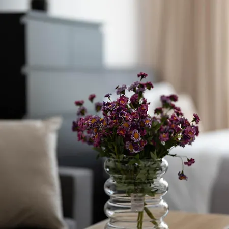 Apartman Grzybowska Center *